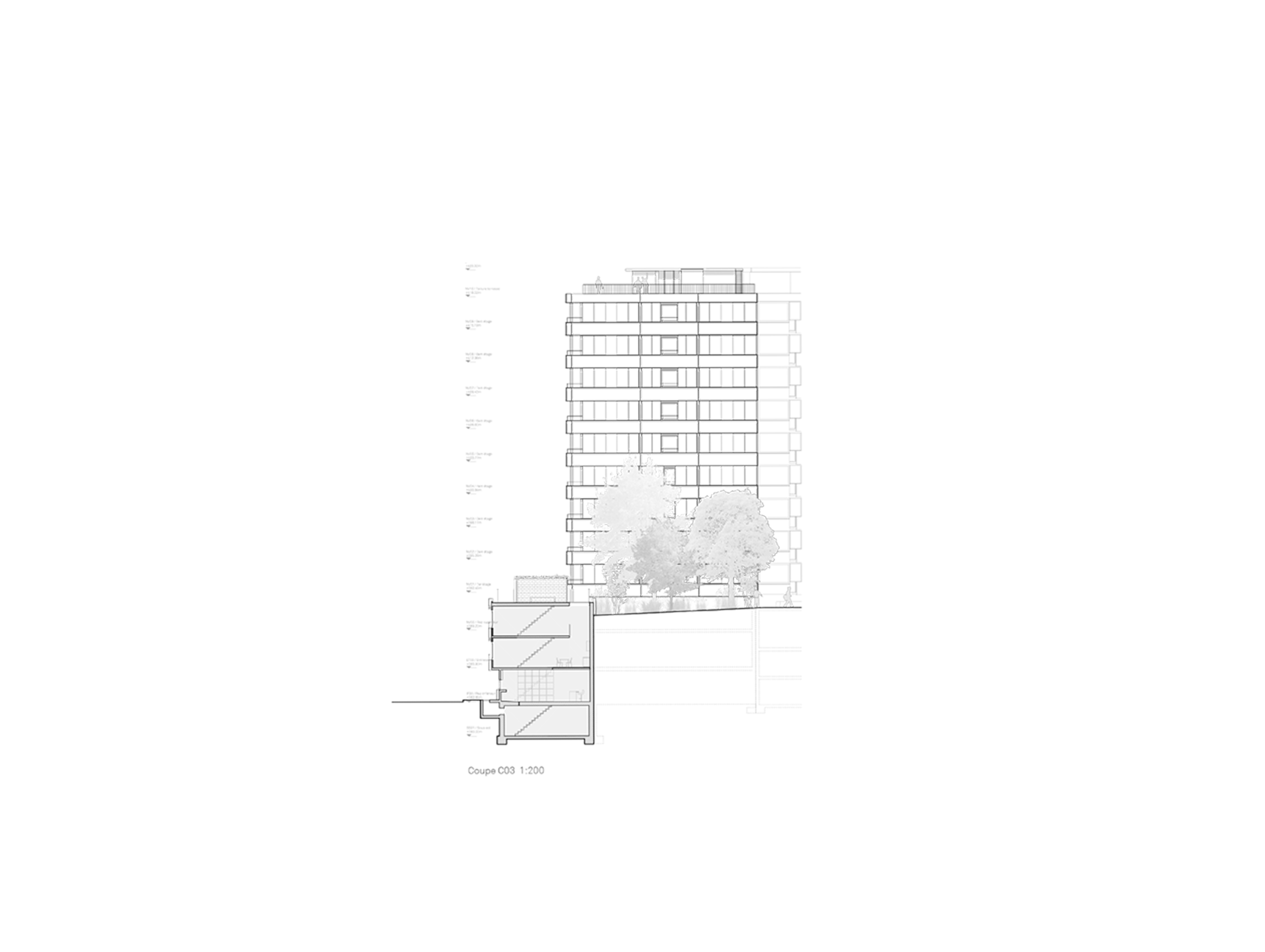 Coupe C03 du bâtiment